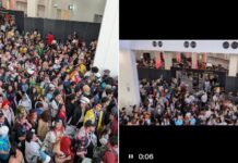 洛杉矶动漫展人潮爆满一度暂停入场 消防部门介入引发安全担忧