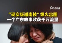 “现实版谢南枝”爆火出圈!一个广东故事收获千万流量