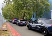 西雅图美食节惊传枪击案 2死5伤 警方追缉嫌犯