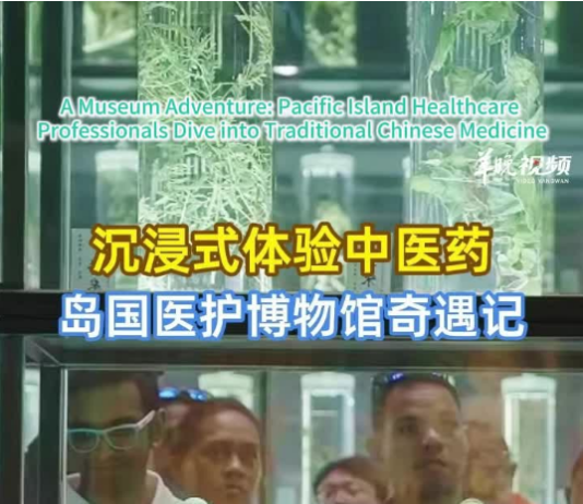 【大美广东·中印尼双语】(Bilingual Cina dan Indonesia)沉浸式体验中医药!岛国医护博物馆奇遇记