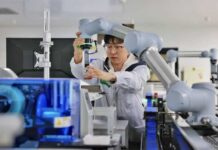 大湾区创新集群何以登顶全球?|思想耀岭南