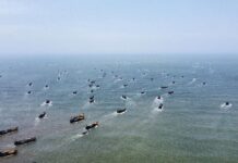 千帆耕海牧渔归,从开渔看这座海滨之城的奋力一跃