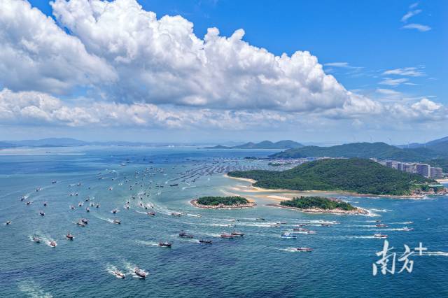 千帆出海的壮阔画面已成为南海（阳江）开渔季标识性场景。梁文栋 摄 