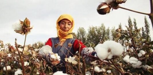 美扩大制裁中企 中棉协批政治化打压