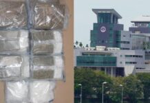 新加坡兀兰关卡截获逾8公斤大麻及冰毒 22岁马男涉走私被捕
