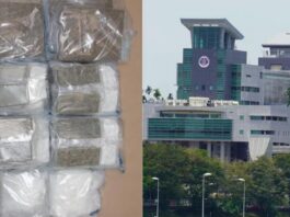 新加坡兀兰关卡截获逾8公斤大麻及冰毒 22岁马男涉走私被捕