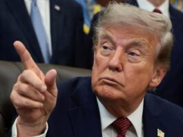 研究显示美国政坛语言日趋粗俗化 近十年总统粗口占比达87%