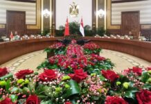 王毅谈习近平主席出席2026年上海合作组织峰会并对吉尔吉斯斯坦、埃及进行国事访问