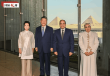 国际锐评丨风雨同舟七十载,中埃关系如何继往开来?