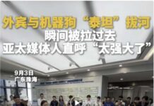“广东太漂亮太厉害了!”外国记者表示回去要写大稿