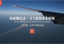 时政微纪录丨习主席的亚非时间 第三集 尼罗河畔绘蓝图