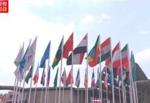 独家视频丨习近平将出席金砖国家领导人迎接仪式