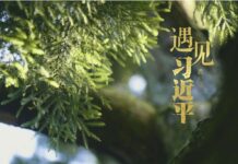 遇见习近平丨跨越山海,续写“鼓岭情缘”
