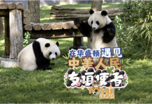 时政Vlog丨在华盛顿遇见中美人民友谊使者