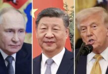 克宫:普京、习近平与特朗普或在APEC期间举行三方会晤