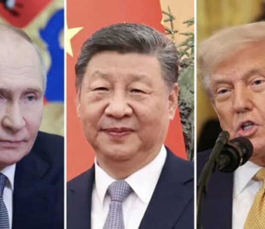 克宫:普京、习近平与特朗普或在APEC期间举行三方会晤