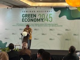 印尼计划 2 至 3 年内建成 100GWp 光伏项目,有望提前 10-15 年实现净零排放