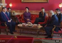 视频丨习近平和彭丽媛同美国总统特朗普夫妇茶叙