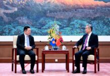 王毅:中国将东盟作为周边外交优先方向