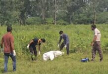 印度17岁女子疑遭轮奸刺死弃尸 遗体被野狗啃食