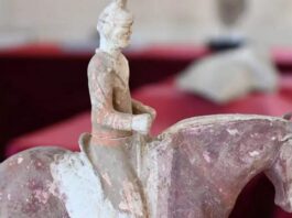 美国向中国返还64件(套)文物艺术品和古生物化石