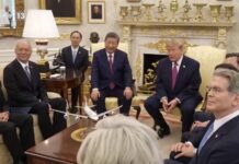 视频丨习近平同美国总统特朗普会谈