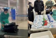 4空姐不知情运毒 越南法院狠判11主犯死刑