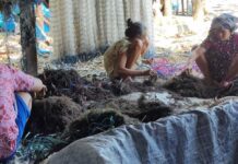印尼望加锡启动 e‑Seaweed 电子海藻数字平台 助力海藻农户获得正规融资