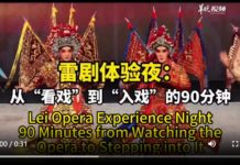 【大美广东·中印尼双语】(Bilingual Cina dan Indonesia) 雷剧体验夜:从“看戏”到“入戏”的90分钟