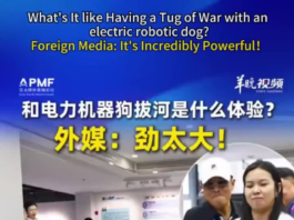 【大美广东·中印尼双语】(Bilingual Cina dan Indonesia)和电力机器狗拔河是什么体验?外媒:劲太大