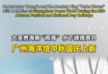 【大美广东·中印尼双语】(Bilingual Cina dan Indonesia)水下嫦娥奔月、大圣携海豚“闹海”!广州海洋馆中秋国庆带来新体验