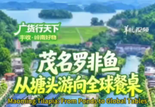 【大美广东·中印尼双语】(Bilingual Cina dan Indonesia)茂名罗非鱼从塘头游向全球餐桌