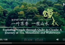 【大美岭南·中印尼双语】(Bilingual Cina dan Indonesia)大美岭南|跟着电影《蝉衣》游英德:一叶茶香 一程山水