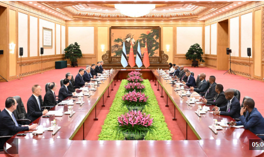 独家视频丨习近平同博茨瓦纳总统会谈