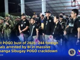 菲律宾严打非法网络赌博 244名外籍人士被捕多数为中国公民