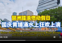 【大美广东·中印尼双语】(Bilingual Cina dan Indonesia)琶洲踏浪燃爆黄金周