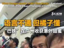 【大美广东·中印尼双语】(Bilingual Cina dan Indonesia)语言不通,但橘子懂。“巴铁”在广州收获意外甜蜜
